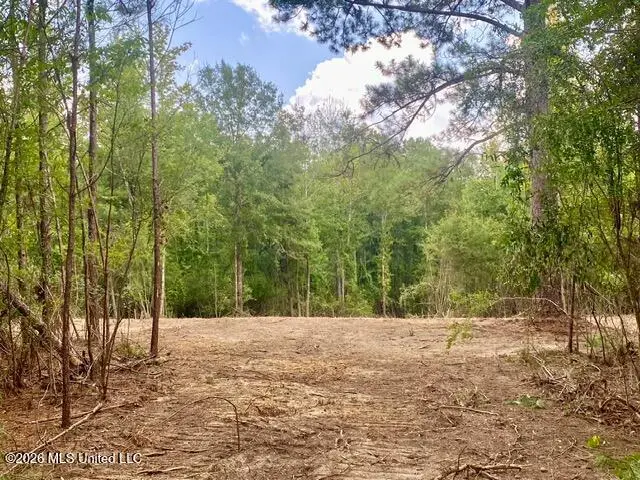 SE Lee Drive, Bogue Chitto, MS 39629 - #3
