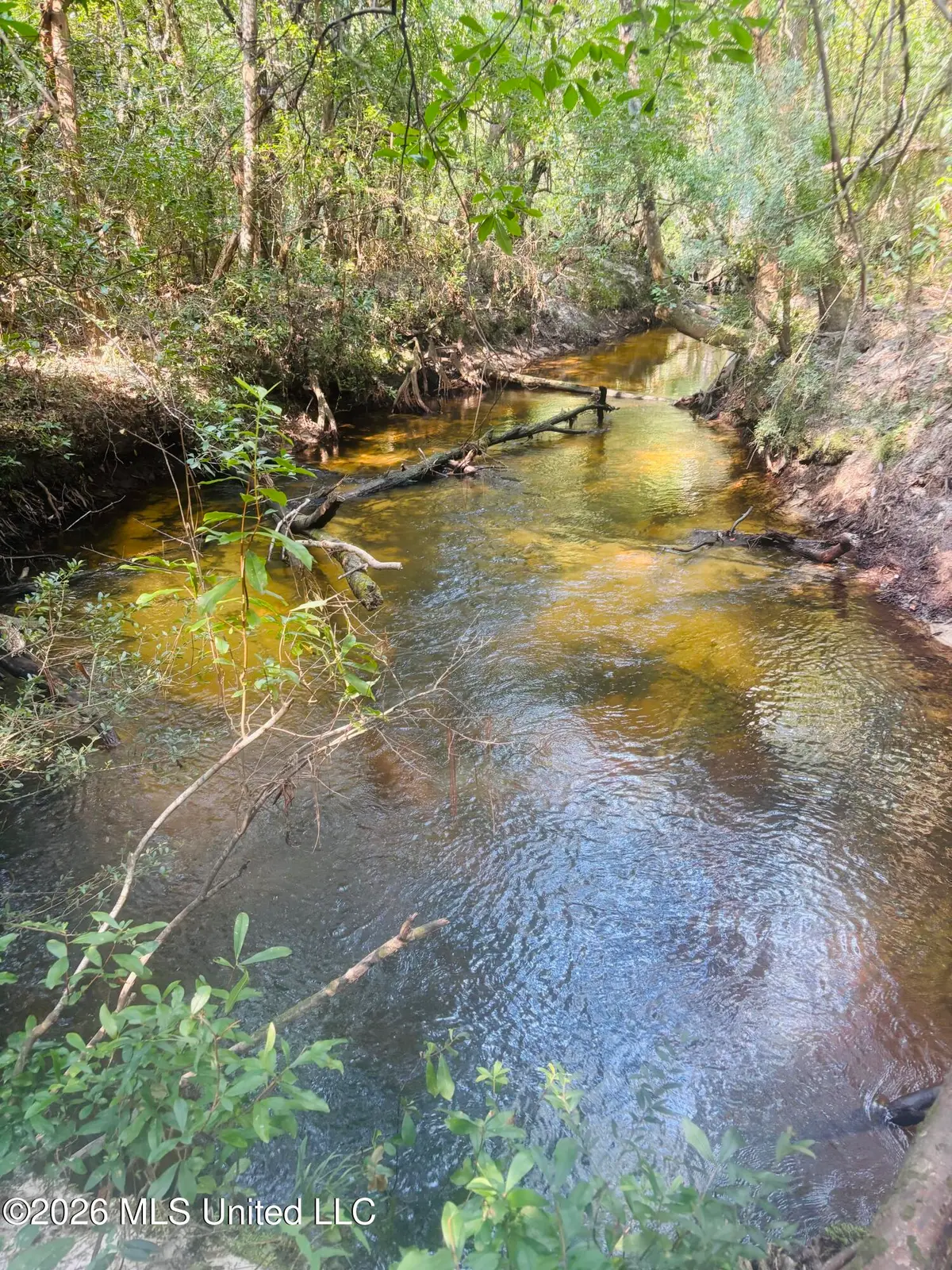 E Beasley Road, Lucedale, MS 39452 - #1
