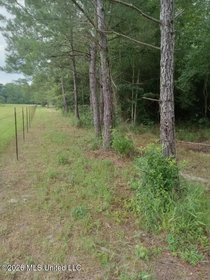 Nhn Compton Ranch Rd, Poplarville, MS 39470 - #1