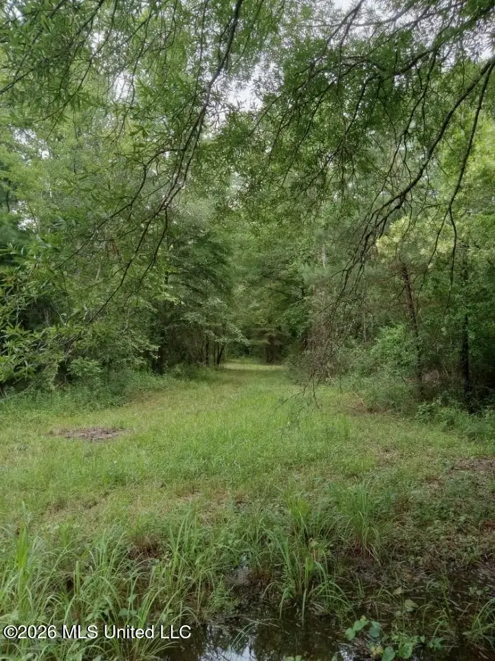 Nhn Compton Ranch Rd, Poplarville, MS 39470 - #2