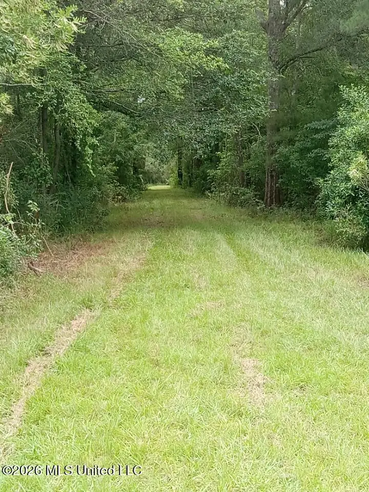 Nhn Compton Ranch Rd, Poplarville, MS 39470 - #3