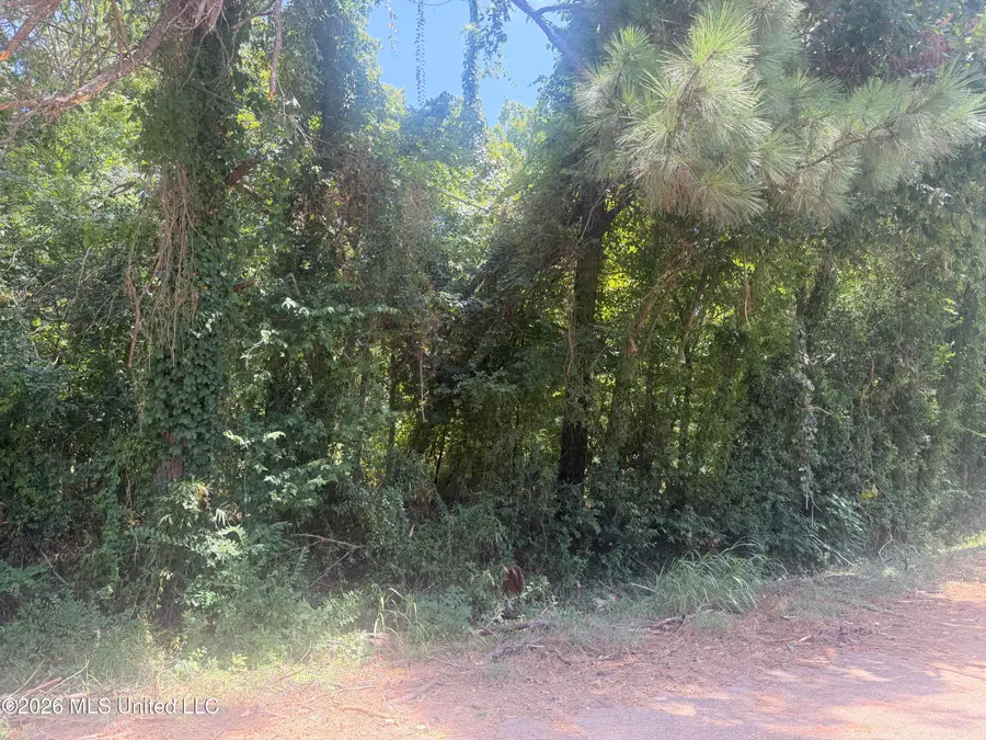 0 Woodhaven, Natchez, MS 39120 - #2