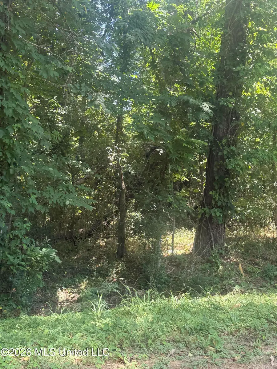 0 Woodhaven, Natchez, MS 39120 - #3