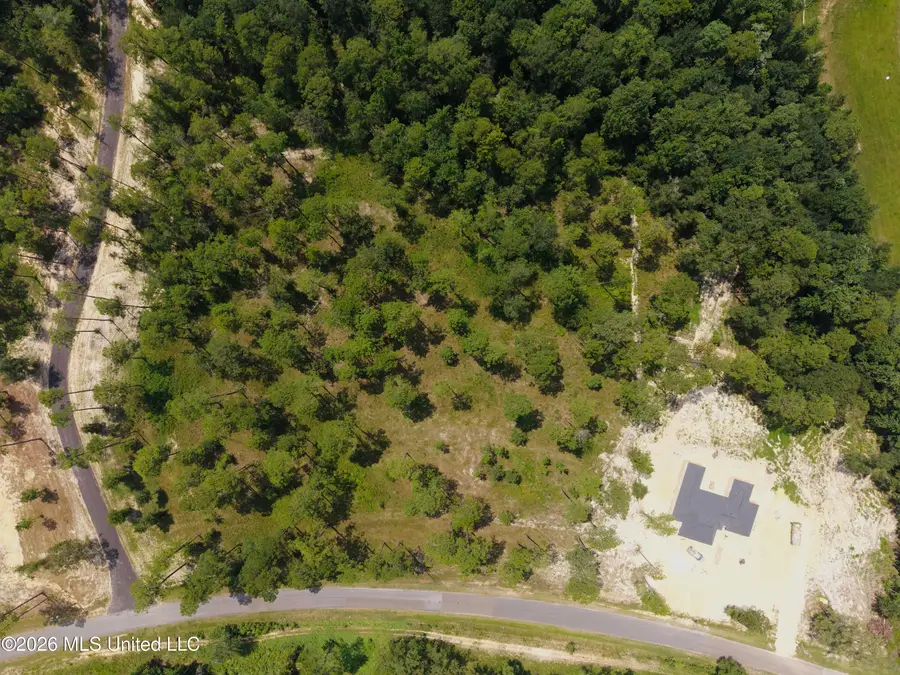 Cowart Holiday Road, Poplarville, MS 39470 - #2