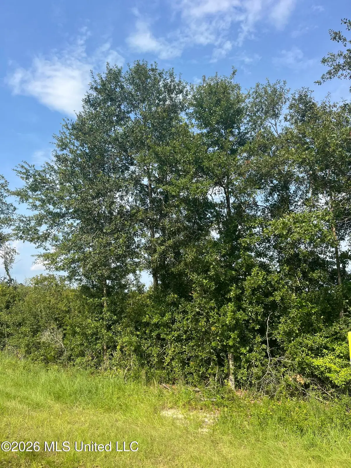 000 Crane Creek Rd Road, Perkinston, MS 39573 - #1