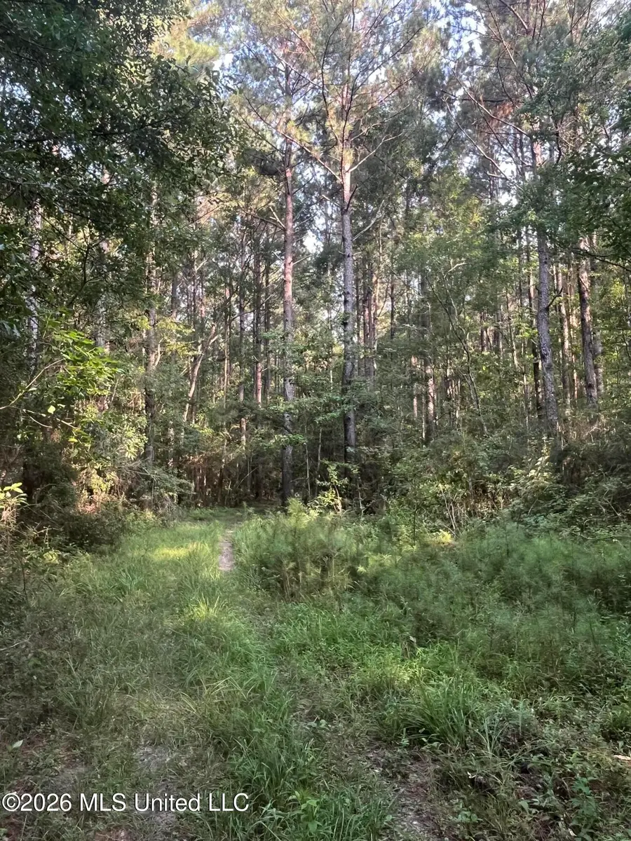 000 Crane Creek Rd Road, Perkinston, MS 39573 - #2