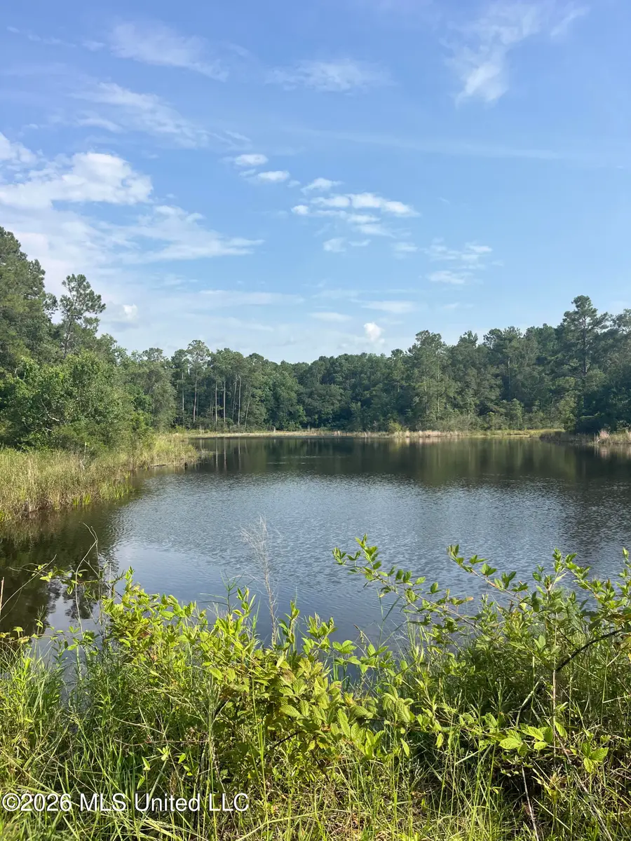 000 Crane Creek Rd Road, Perkinston, MS 39573 - #3