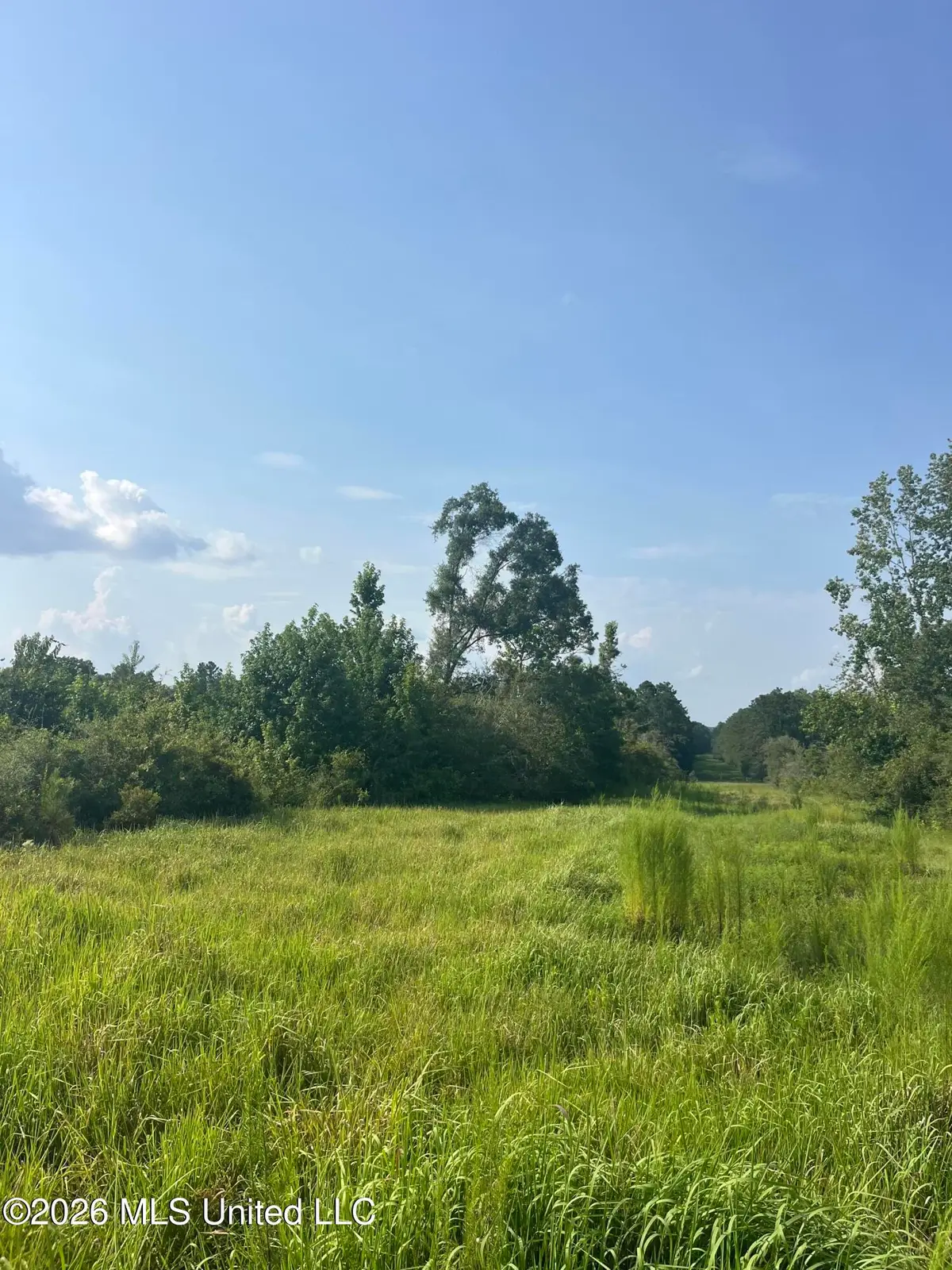000 S Mississippi 53, Perkinston, MS 39573 - #1