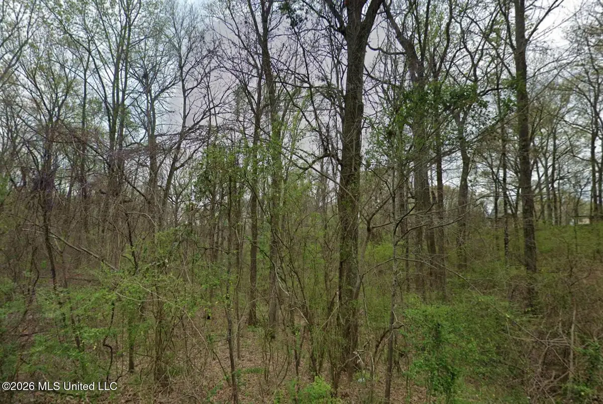 3768 Bird Cove, Hernando, MS 38632 - #1