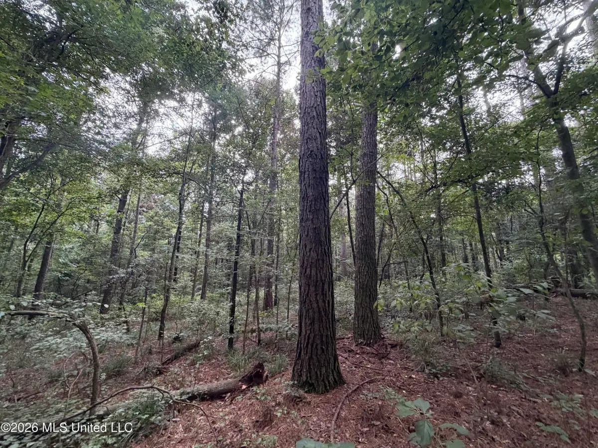 Shiloh Road, Pelahatchie, MS 39145 - #1