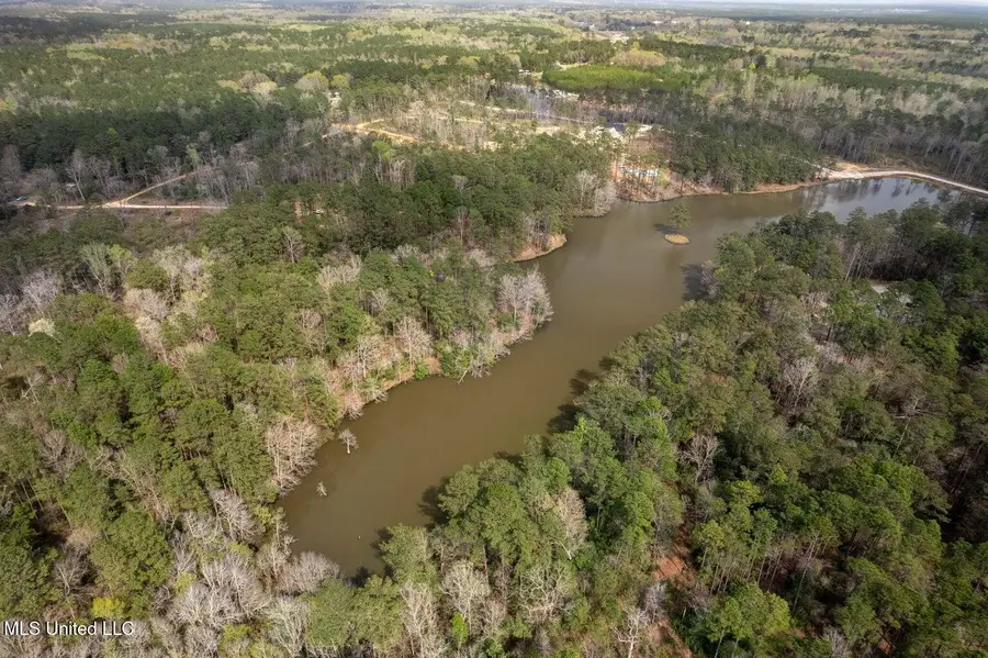 Lot 6 Bridgewater Subdivision, Sumrall, MS 39482 - #3