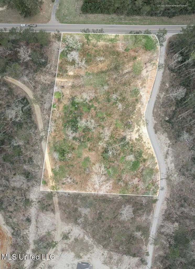Lot 10 Bridgewater Subdivision, Sumrall, MS 39482 - #1