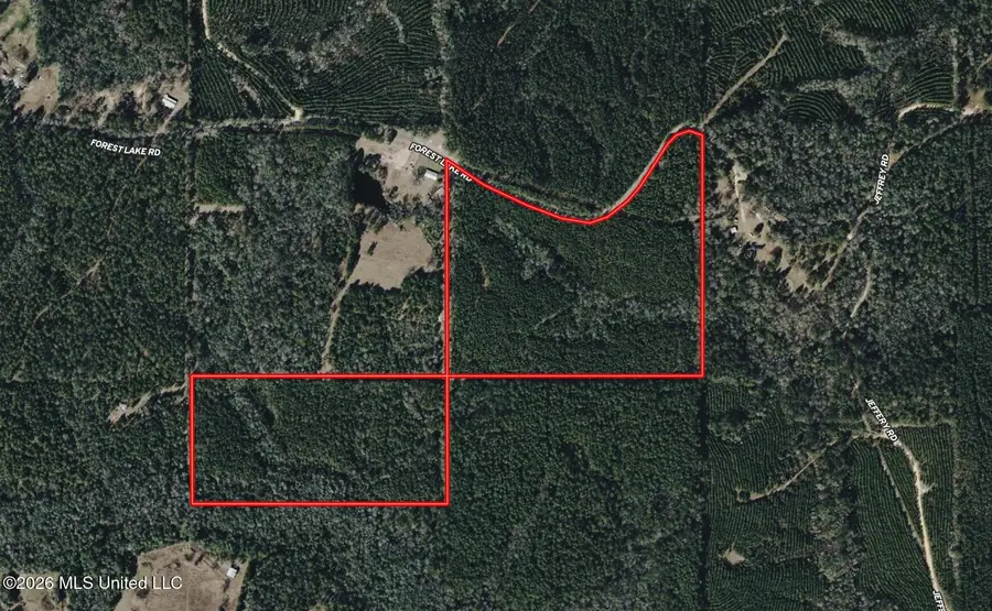 259 Forest Lake Road, Beaumont, MS 39423 - #2
