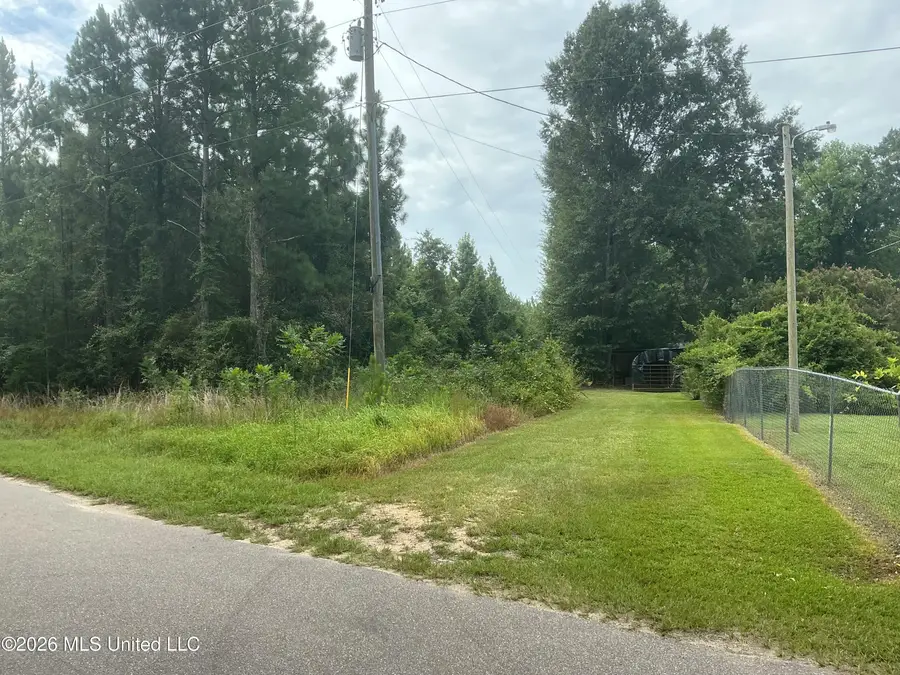 259 Forest Lake Road, Beaumont, MS 39423 - #3
