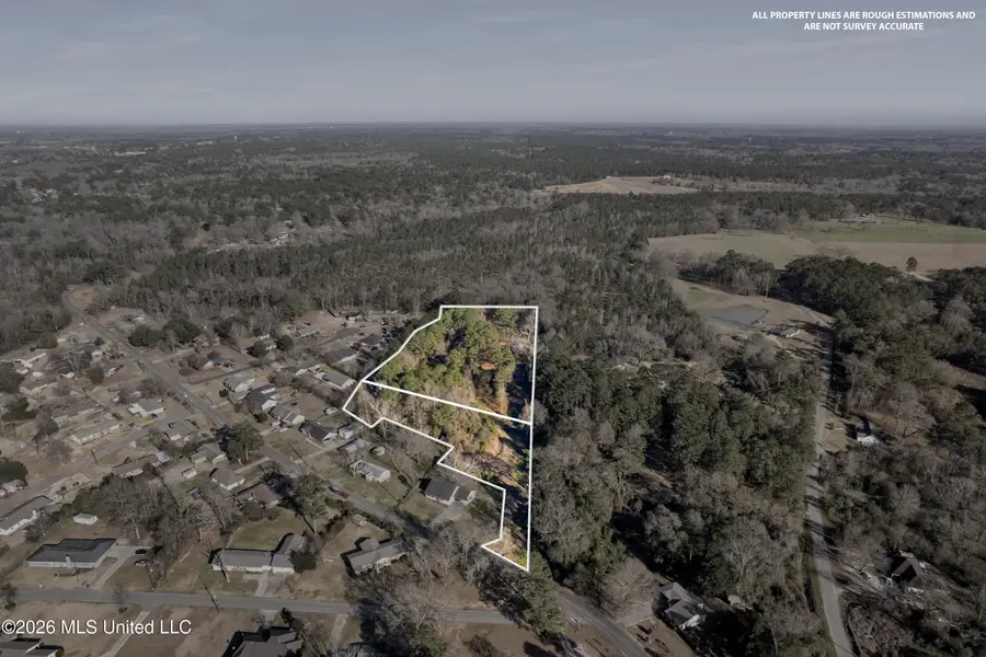 144 Corinth Road, Petal, MS 39465 - #3