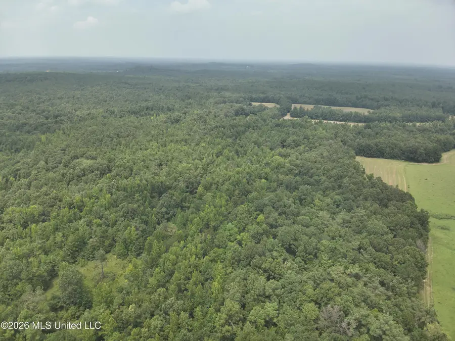 T K Lane, Pontotoc, MS 38863 - #2