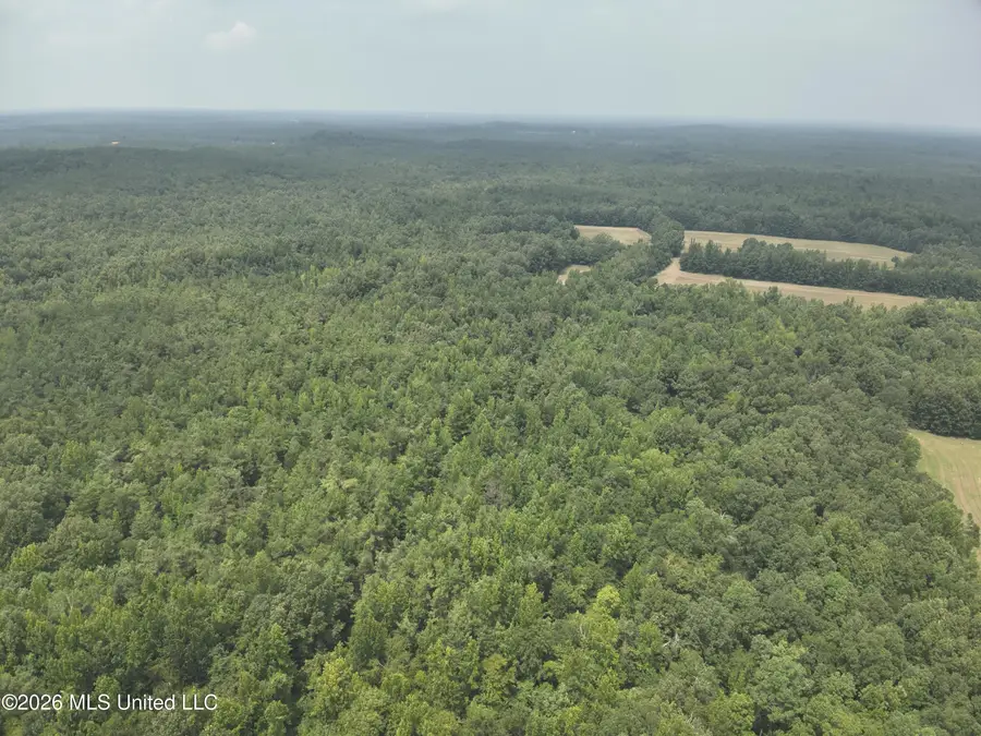 T K Lane, Pontotoc, MS 38863 - #3