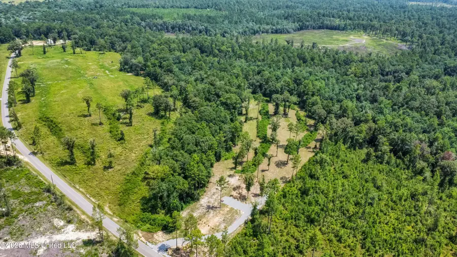 286 Matthew Johnson Road, Wiggins, MS 39577 - #2