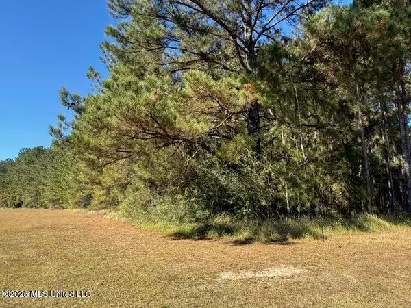 6.25ac Knob Town Rd, State Line, MS 39362