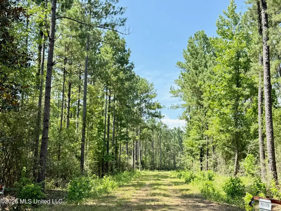 Storey Parkman, Oak Vale, MS 39656 - #2