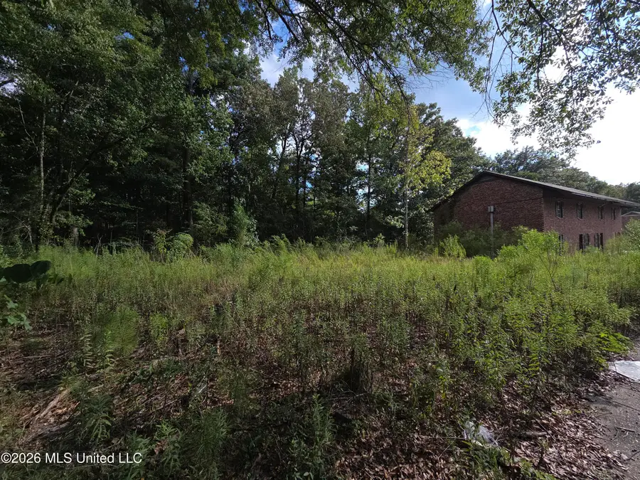 124 Plantation Boulevard, Hattiesburg, MS 39401 - #3