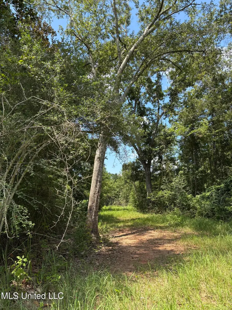 Ray Wilson Road, Vancleave, MS 39565 - #2