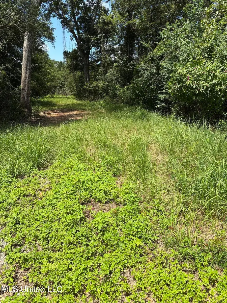 Ray Wilson Road, Vancleave, MS 39565 - #3