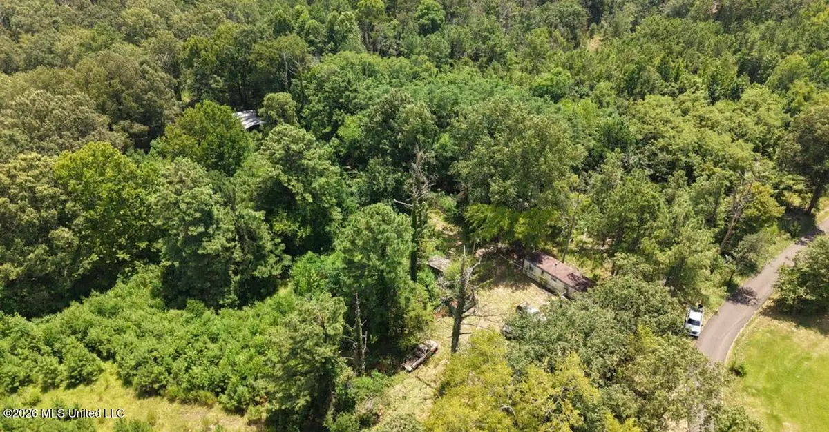 258 Pine Tree Lane, Ridgeland, MS 39157 - #1