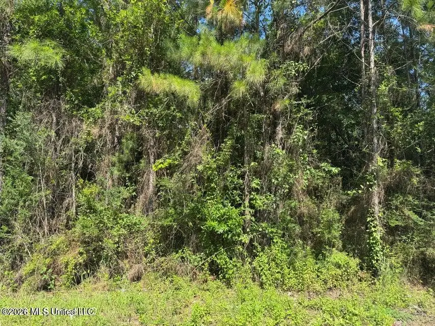 000 Schrader Court, Saucier, MS 39574 - #3