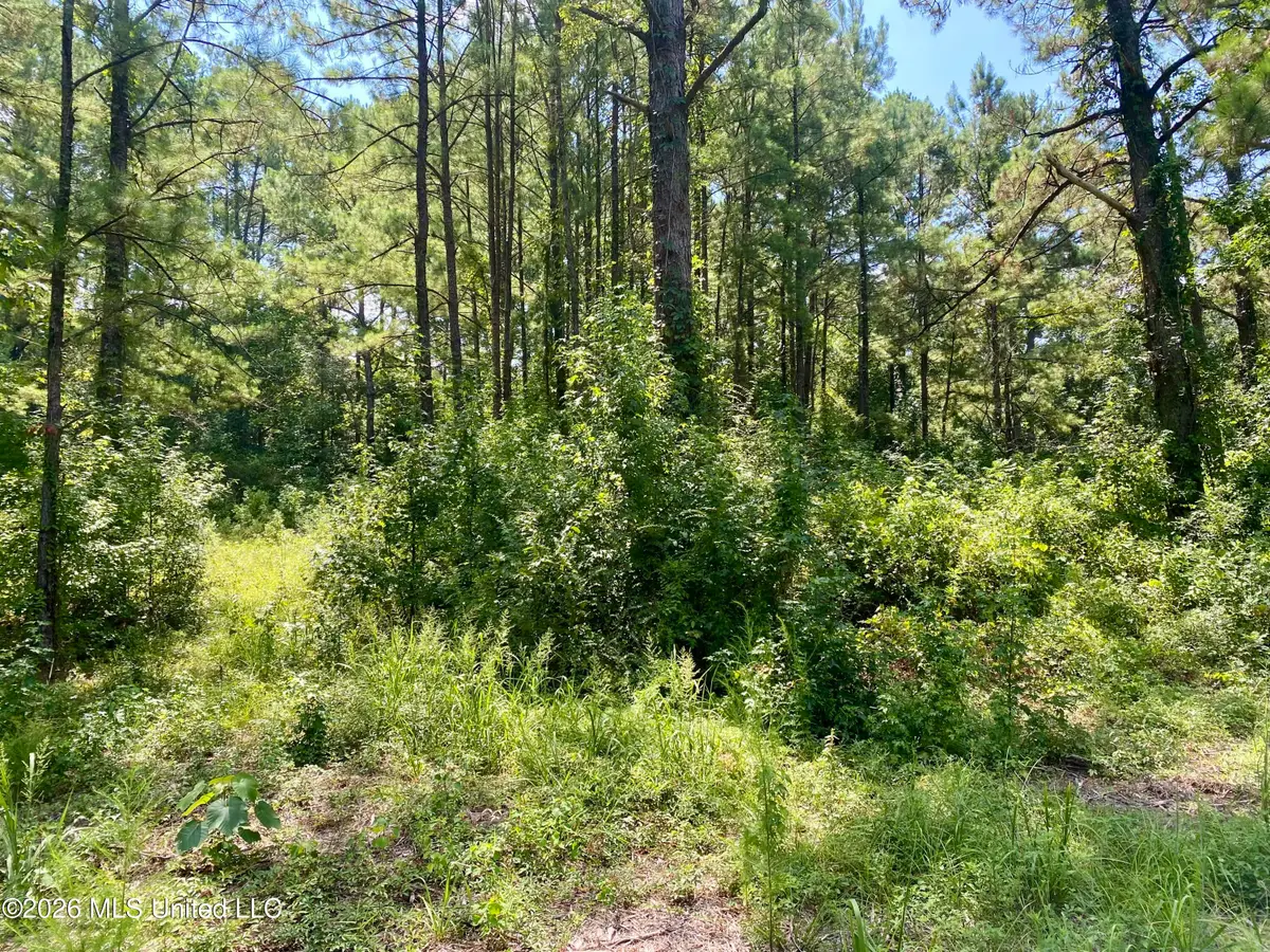 Xxx Clubhouse Drive, Wiggins, MS 39577 - #1