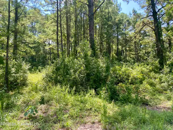 Xxx Clubhouse Drive, Wiggins, MS 39577