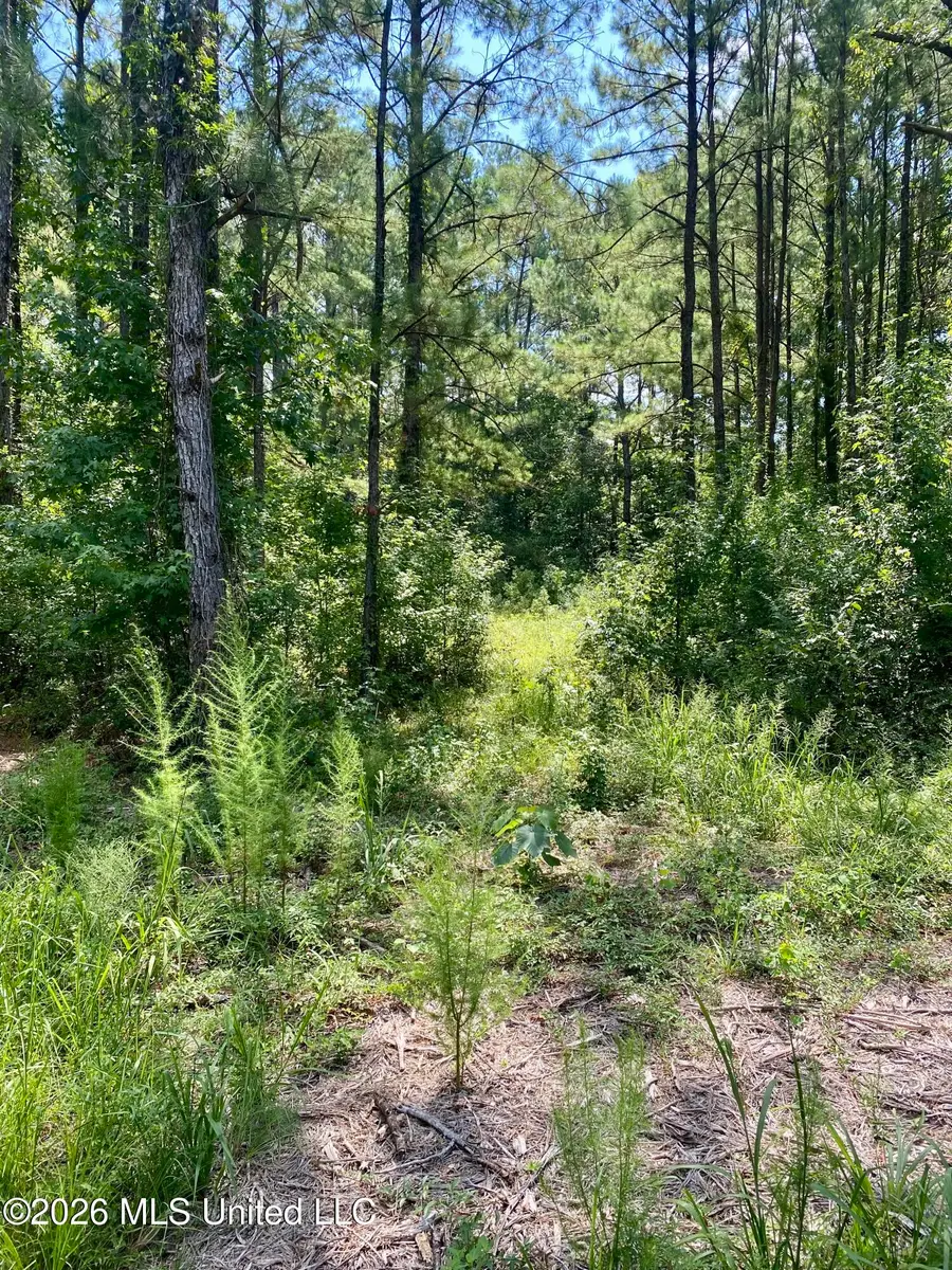 Xxx Clubhouse Drive, Wiggins, MS 39577 - #3