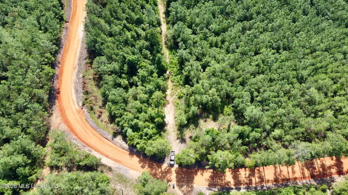 Seymour Road, Kilmichael, MS 39747 - #1