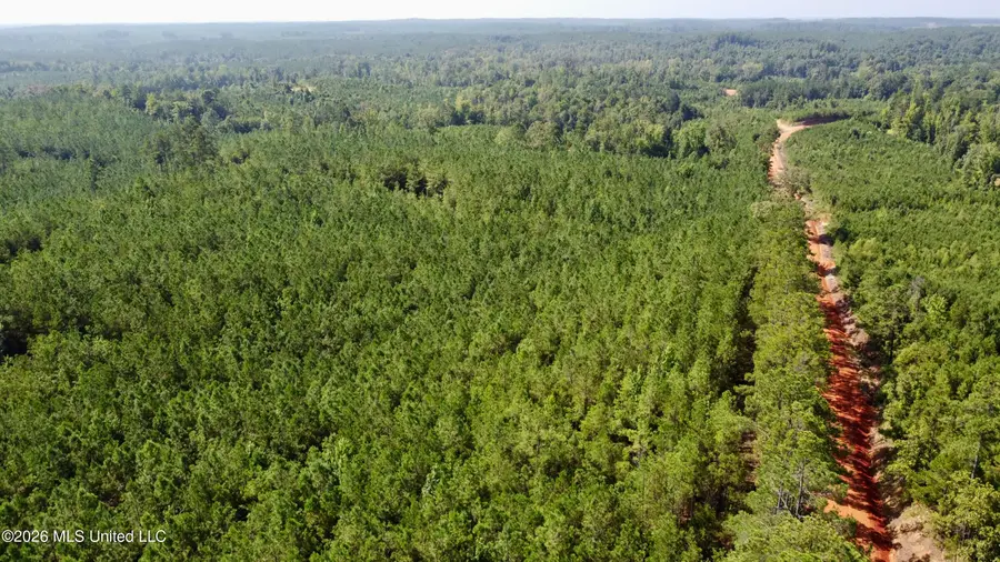 Seymour Road, Kilmichael, MS 39747 - #2