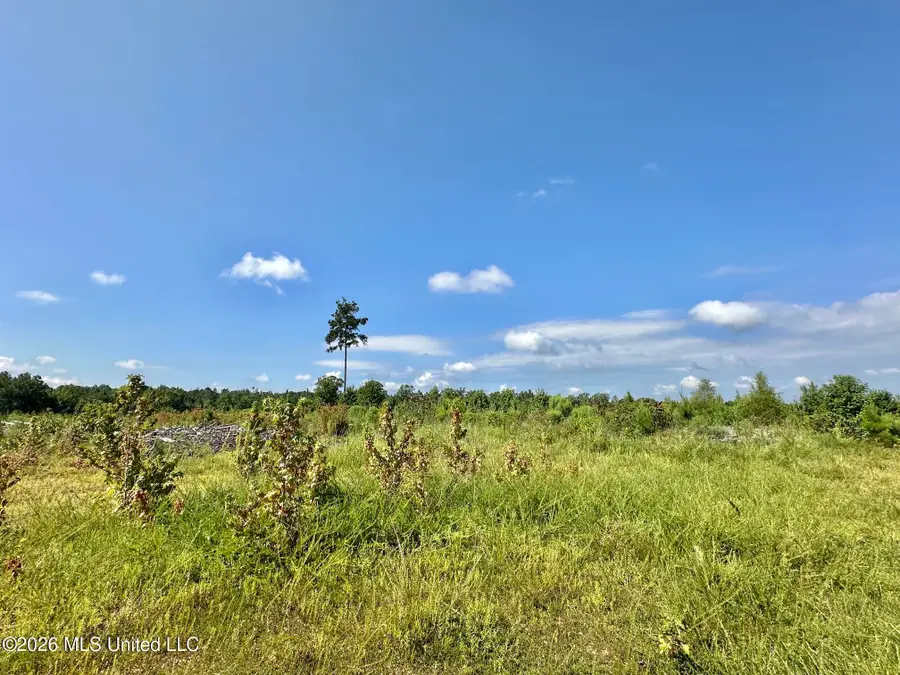 1 Will Womack, Mantee, MS 39751 - #2