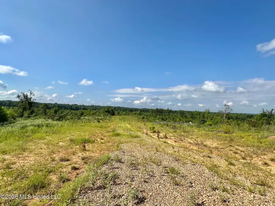 2 Will Womack, Mantee, MS 39751 - #2