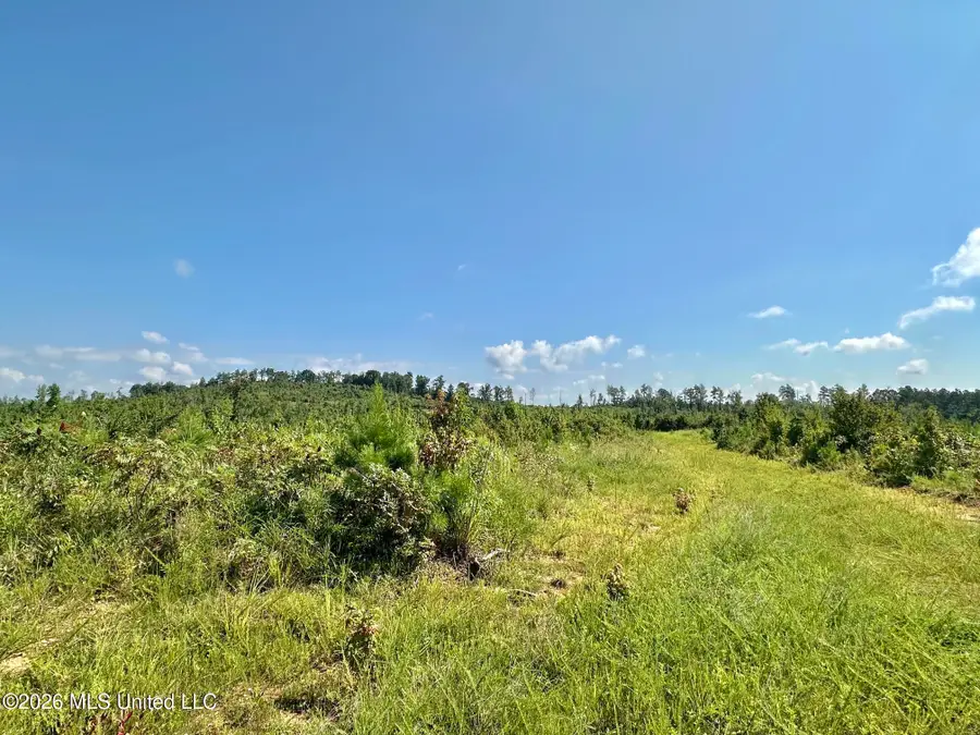 3 Will Womack, Mantee, MS 39751 - #2