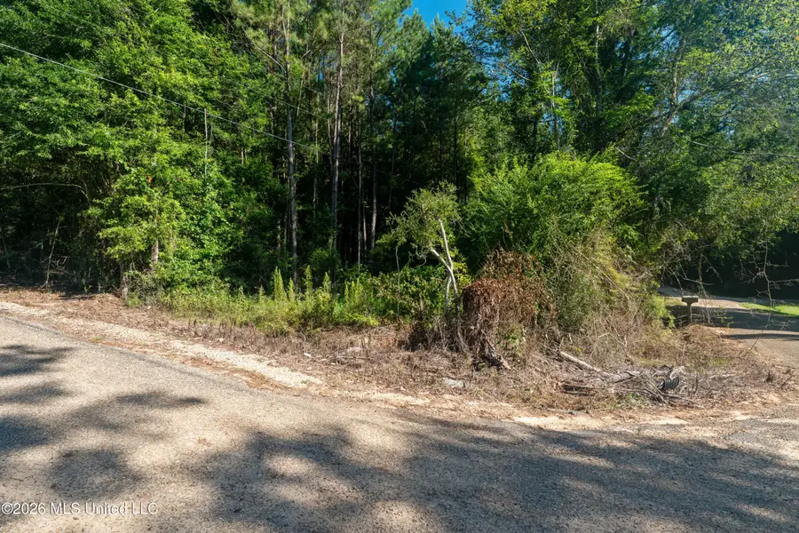 Fulgham Road, Tylertown, MS 39667 - #3