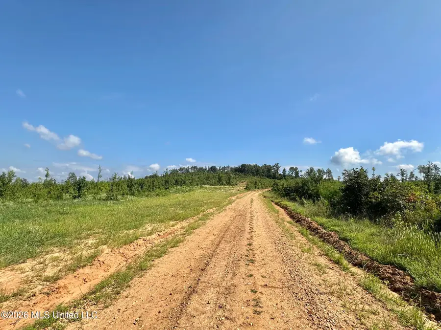 4 Will Womack, Mantee, MS 39751 - #2