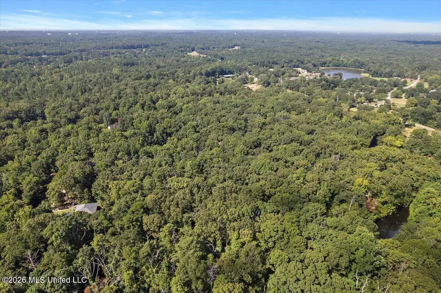 John Wayne Road, Brandon, MS 39042 - #2