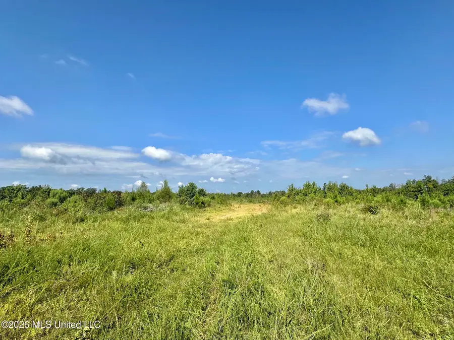 5 Will Womack, Mantee, MS 39751 - #2