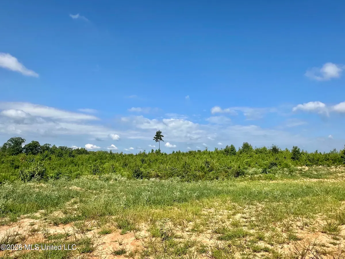7 Will Womack, Mantee, MS 39751 - #1