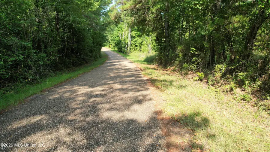 0 NE Pipeline Lane, Sontag, MS 39665 - #2