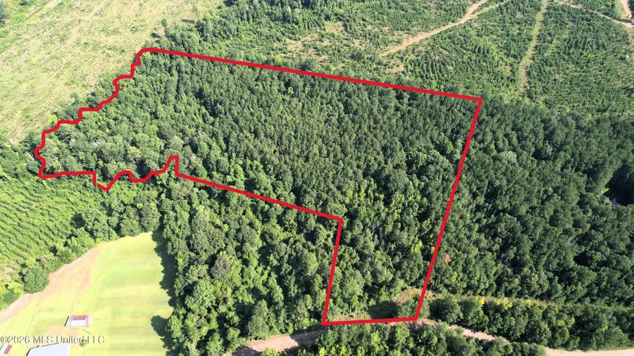 0 NE Pipeline Lane, Sontag, MS 39665 - #3