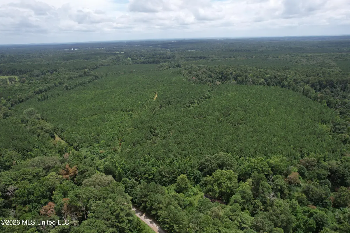 Smith County Road, Raleigh, MS 39153 - #1