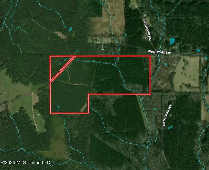 Smith County Road, Raleigh, MS 39153 - #2