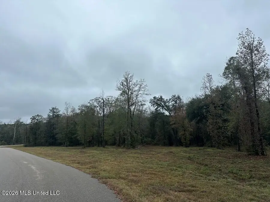 Bent Creek, Picayune, MS 39466 - #2