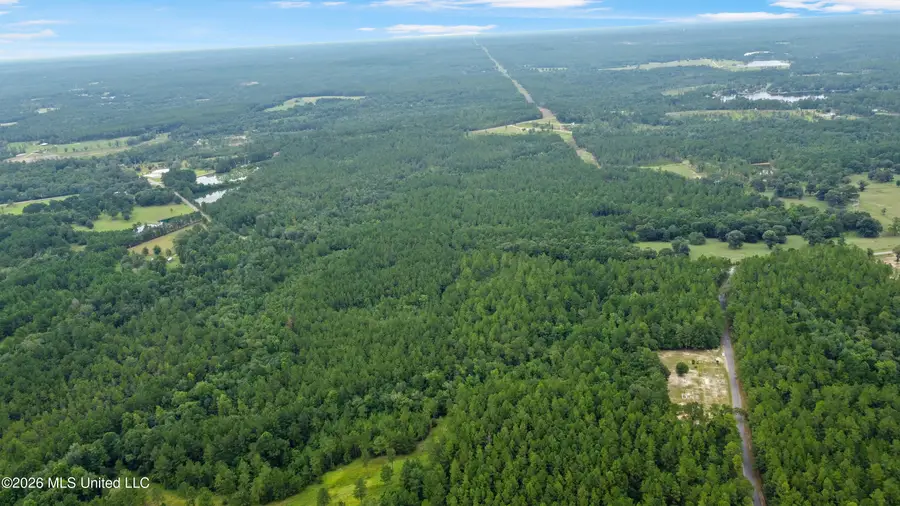 Silver Run-progress Road, Perkinston, MS 39573 - #2