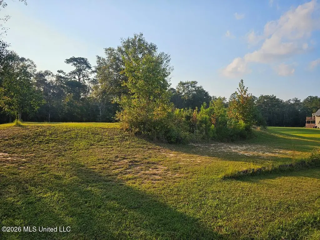 47 Ravenwood Drive, Picayune, MS 39466 - #1