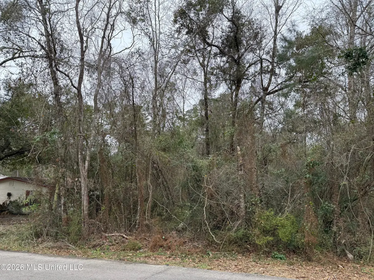 9524 Lono Place Place, Diamondhead, MS 39525 - #1
